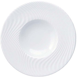 �f�Y���G�[�� �i�� �f�B�[�v�v���[�g ACNA300 300mm