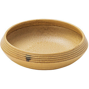 ���͂�v���[�g ��160mm GP1601YE ������