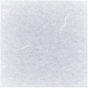 �V�[�X���[�� 4�� 100���� 12�~12cm