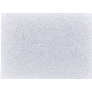 �V�[�X���[�� 100���� 13�~18cm