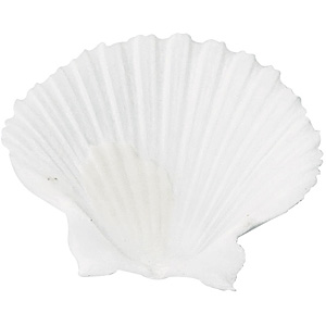 ��^�L�k�M 4-6cm ���h��/��