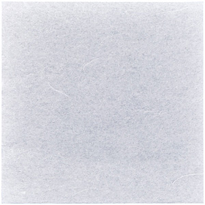 �V�[�X���[�� 100���� 26�~26cm