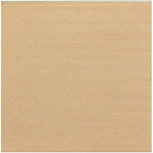�G�R�o�[�K�[�� ���N���n 100���� No.20 200�~200mm