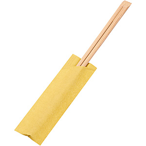 �ʃ��_�� �����ܓ� �Y���|�V�� 24cm 100�V�� ���炵