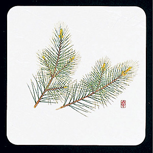 �a���R�[�X�^�[ �p 50���� WCO-K1N ��
