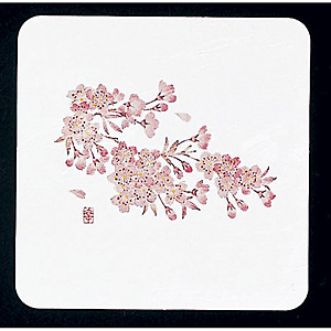 �a���R�[�X�^�[ �p 50���� WCO-K3N ��