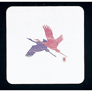 �a���R�[�X�^�[ �p 50���� WCO-K11N ��