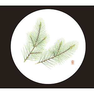 �a���R�[�X�^�[ �� 50���� WCO-M1N ��