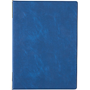 �V���r ���j���[�u�b�N B5 DEL-302 ��