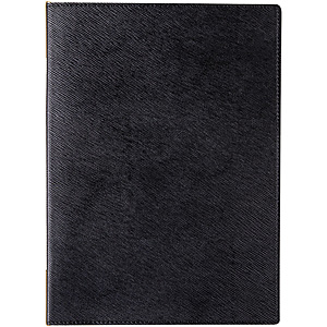 �V���r ���j���[�u�b�N A4 GL-101A ��
