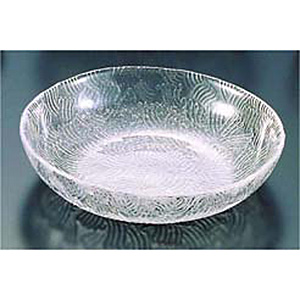 �g���Ɏq ��g ���؎M ��210mm