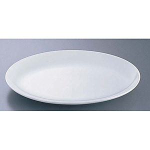 �������� �z���C�g �v���^�[ 265�~190�~H28mm CW-20 10�D