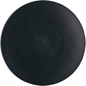 �����H�� �G�L�m�N�X �v���[�[�V�����v���[�g ��315mm 649502 �L���X�g�A�C�A��