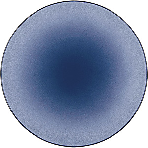 �����H�� �G�L�m�N�X �v���[�[�V�����v���[�g ��315mm 649503 �V�[���X�E�u���[