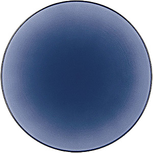 �����H�� �G�L�m�N�X �f�B�i�[�v���[�g 28cm 649500 �V�[���X�E�u���[