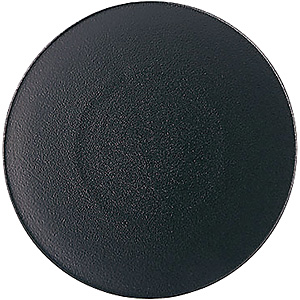 �����H�� �G�L�m�N�X �f�U�[�g�v���[�g 21.5cm 649495 �L���X�g�A�C�A��