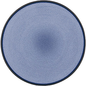�����H�� �G�L�m�N�X �f�U�[�g�v���[�g 21.5cm 649496 �V�[���X�E�u���[