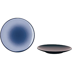 �����H�� �G�L�m�N�X �u���b�h�v���[�g 16cm 649493 �V�[���X�E�u���[