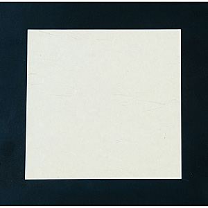 �A�[�e�b�N �j���[�l�G����4��[120�~120mm] 100������ NS-68 ���n