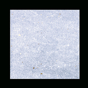 �A�[�e�b�N OP ����_�����~ 120�~120mm 100������ OPG-14 ���F