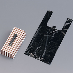 �S�~�� ���t�� �g�C���p 30������