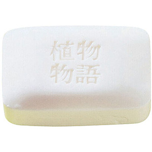 ���C�I�� �A������ ���ϐΌ� 100g�~120����
