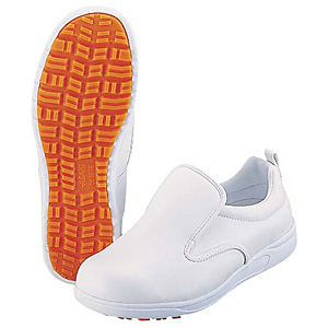 �A�T�q�V���[�Y �A�T�q�R�b�N 101 �ϖ��� �� 23.5cm