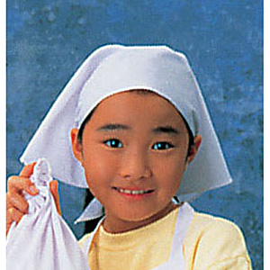 �T�J�m�@�� �O�p�z �z���C�g SKV364