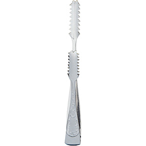 �������� SA �m�� �t�F�A���[ �A�C�X�g���O ��