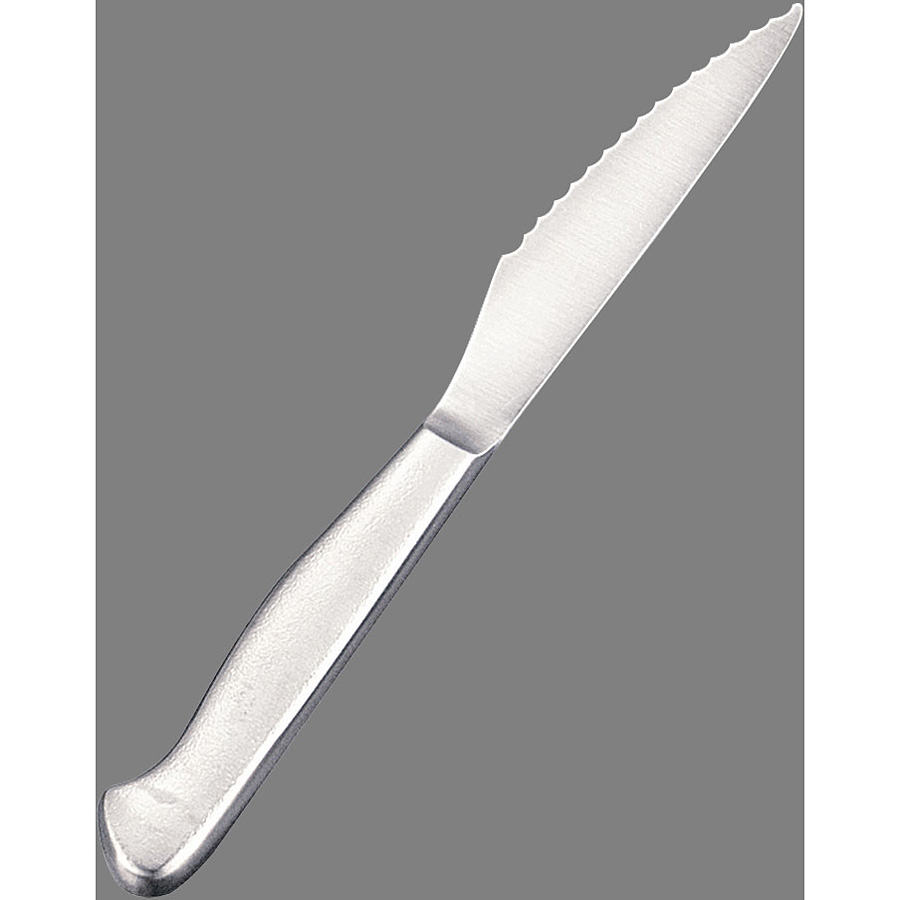 遠藤商事 白竜 ステーキナイフ - 調理器具のSHOKUBI